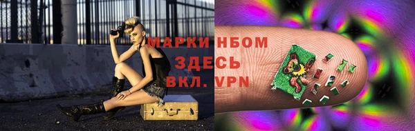 сатива Верея