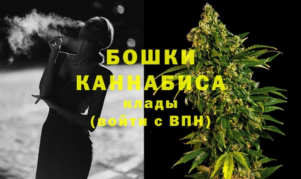 сатива Верея