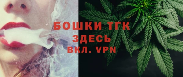сатива Верея