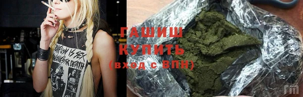 сатива Верея